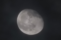 DSCN8420