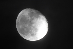 DSCN8421