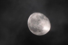 DSCN8426