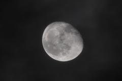 DSCN8427