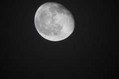 DSCN8439