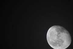 DSCN8440