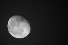 DSCN8441