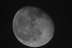 DSCN8442
