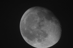 DSCN8444