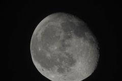 DSCN8445