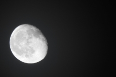 DSCN8446