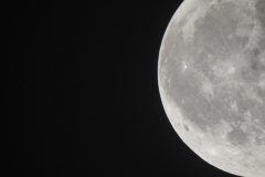 DSCN8447