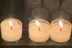 IMG_0351